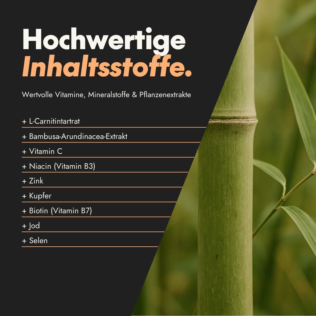 serotalin® ACTIVE Hair + Beard | 60 Kapseln | Biotin hochdosiert mit L-Carnitin & Silica | Vegan
