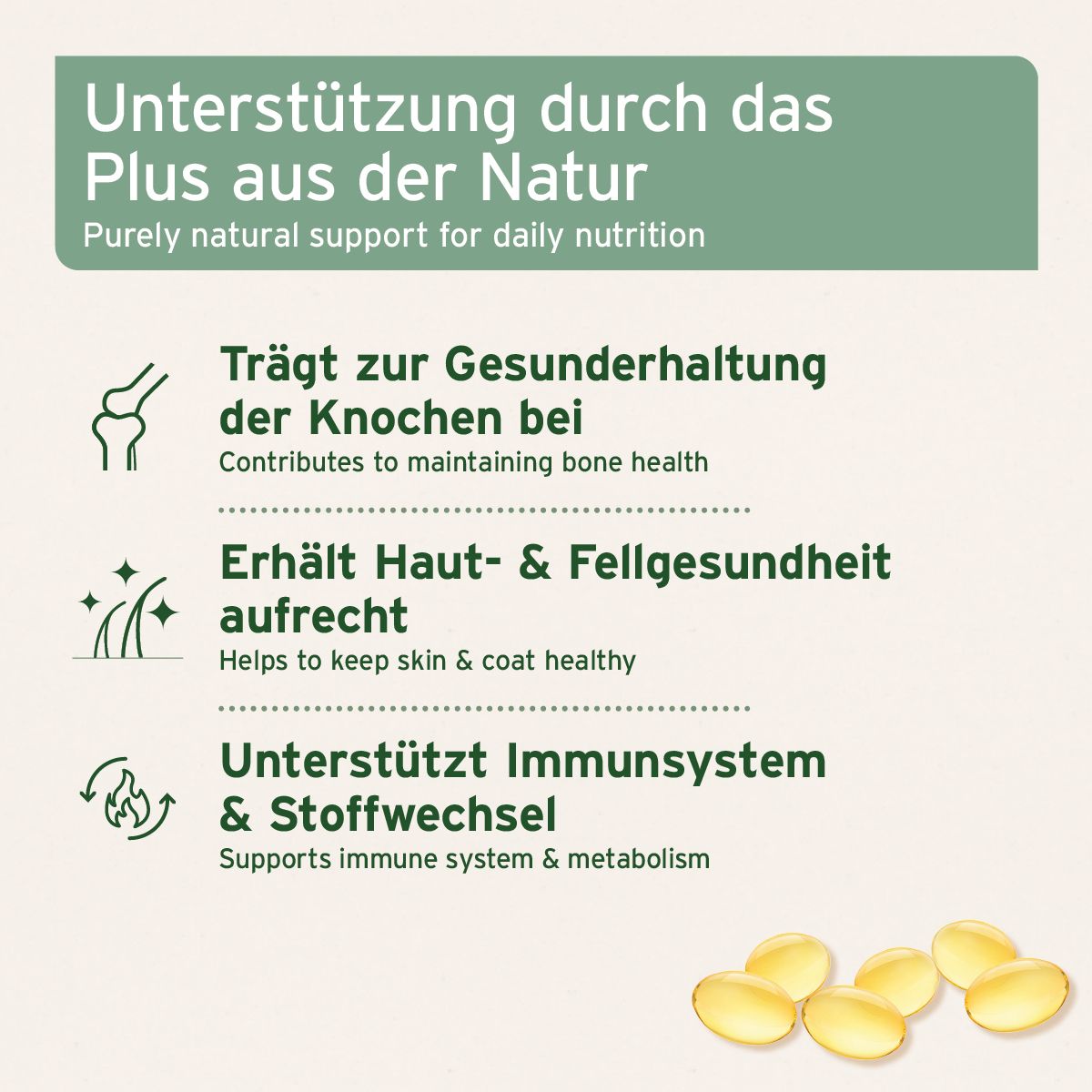 Texttafel mit Informationen zu den Vorteilen von Lachsölkapseln. Enthält Icons und Text über Knochen, Haut und Immunsystem.