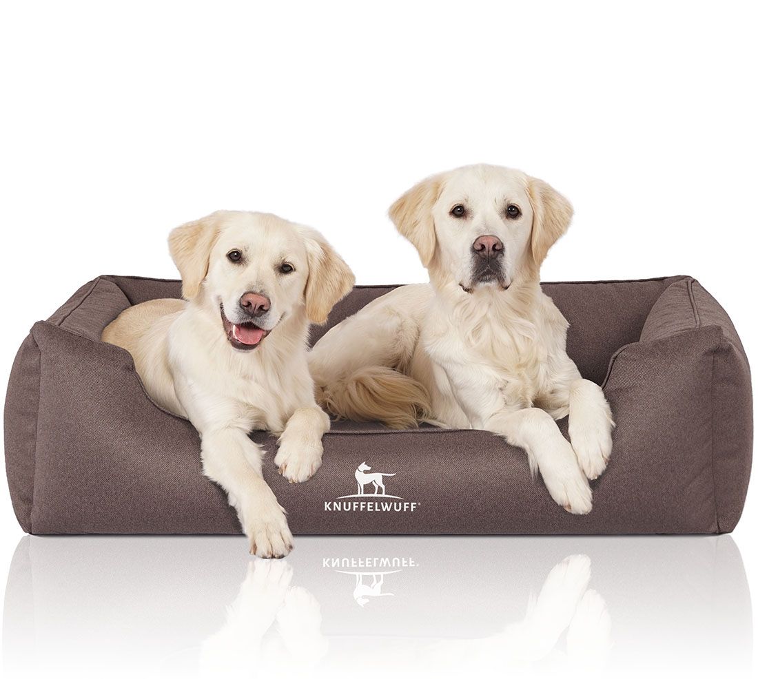 Braunes Hundebett mit zwei Golden Retrievern. Logo: Knuffelwuff. Hunde liegen im Bett. Weiches Material, rechteckige Form.