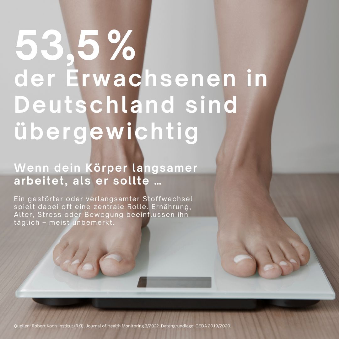 Füße auf einer Waage. Text: 53,5% der Erwachsenen in Deutschland sind übergewichtig. Stoffwechsel spielt eine zentrale Rolle.