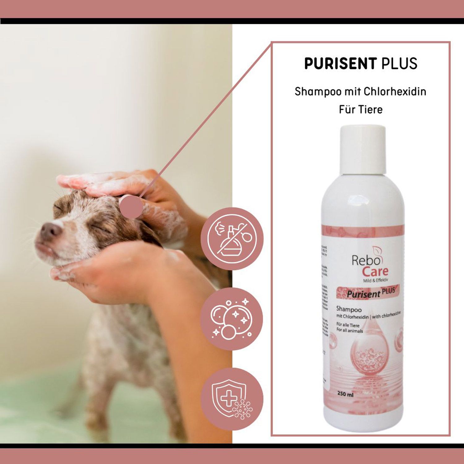 reboVet ReboCare Purisent Plus