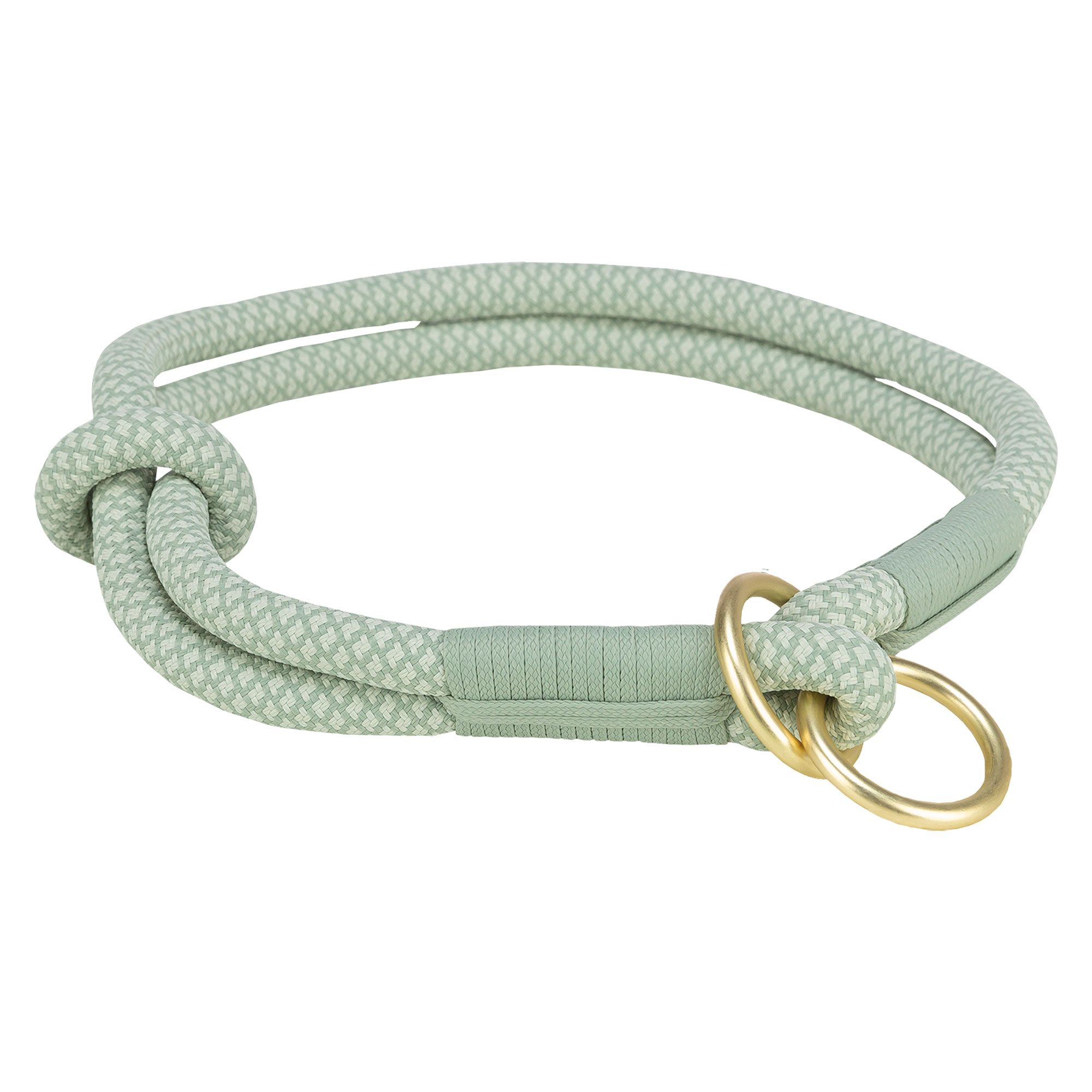 Hellgrünes Hundehalsband mit Zugbegrenzung. Rundes Seil mit Knoten und goldenem Ring.