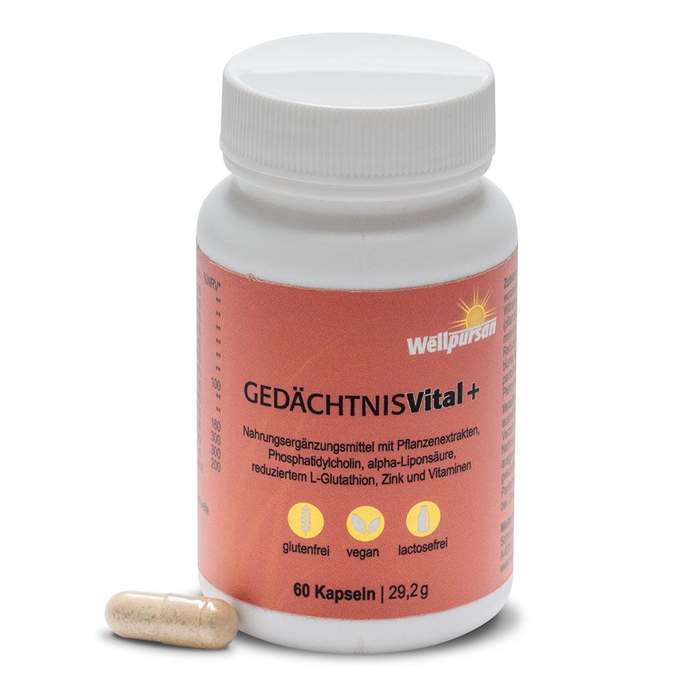 Wellpursan Gedächtnis vital +