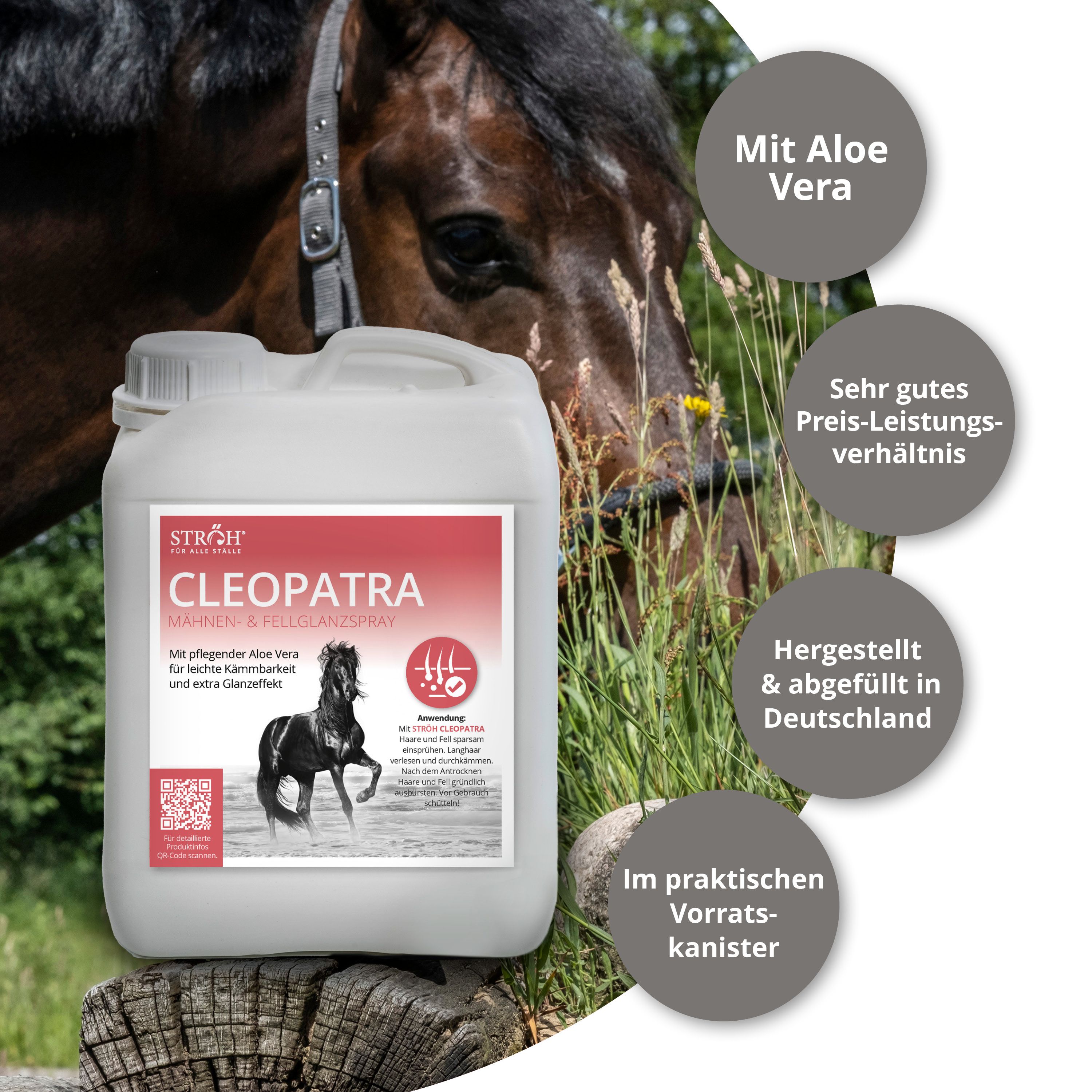 Weißer Kanister STRÖH Cleopatra Mähnen- & Fellglanzspray. Rosa Etikett, Pferd, Aloe Vera, hergestellt in Deutschland, Kanister.