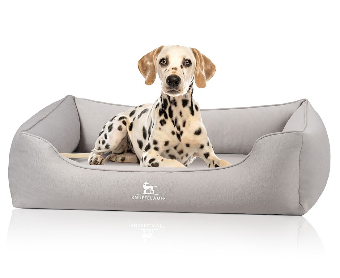 Graues Hundebett mit erhöhtem Rand. Dalmatiner-Hund liegt im Bett. Logo Knuffelwuff.