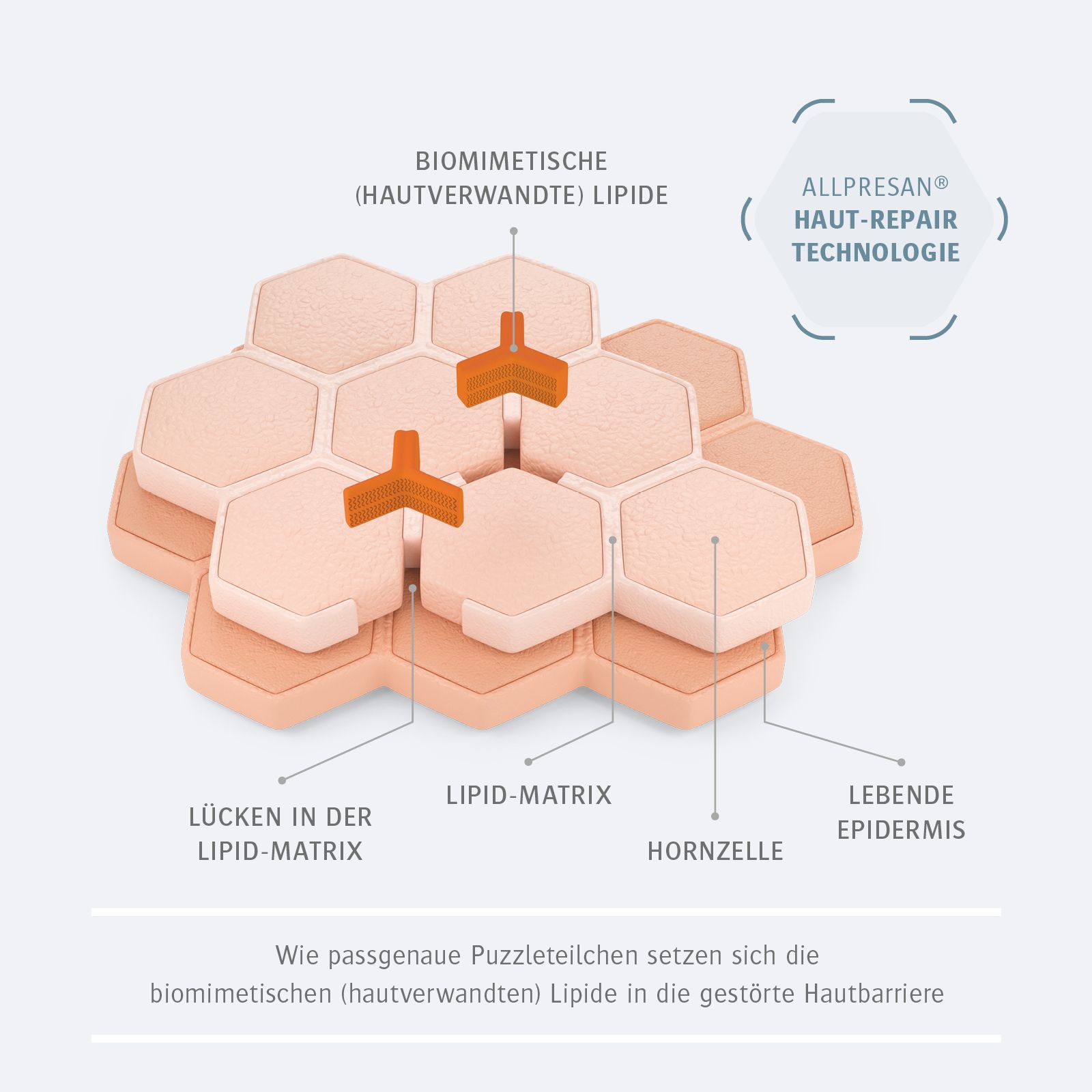 Allpresan Fuß spezial Schaum-Creme Nr. 3 Summer Edt. Mango