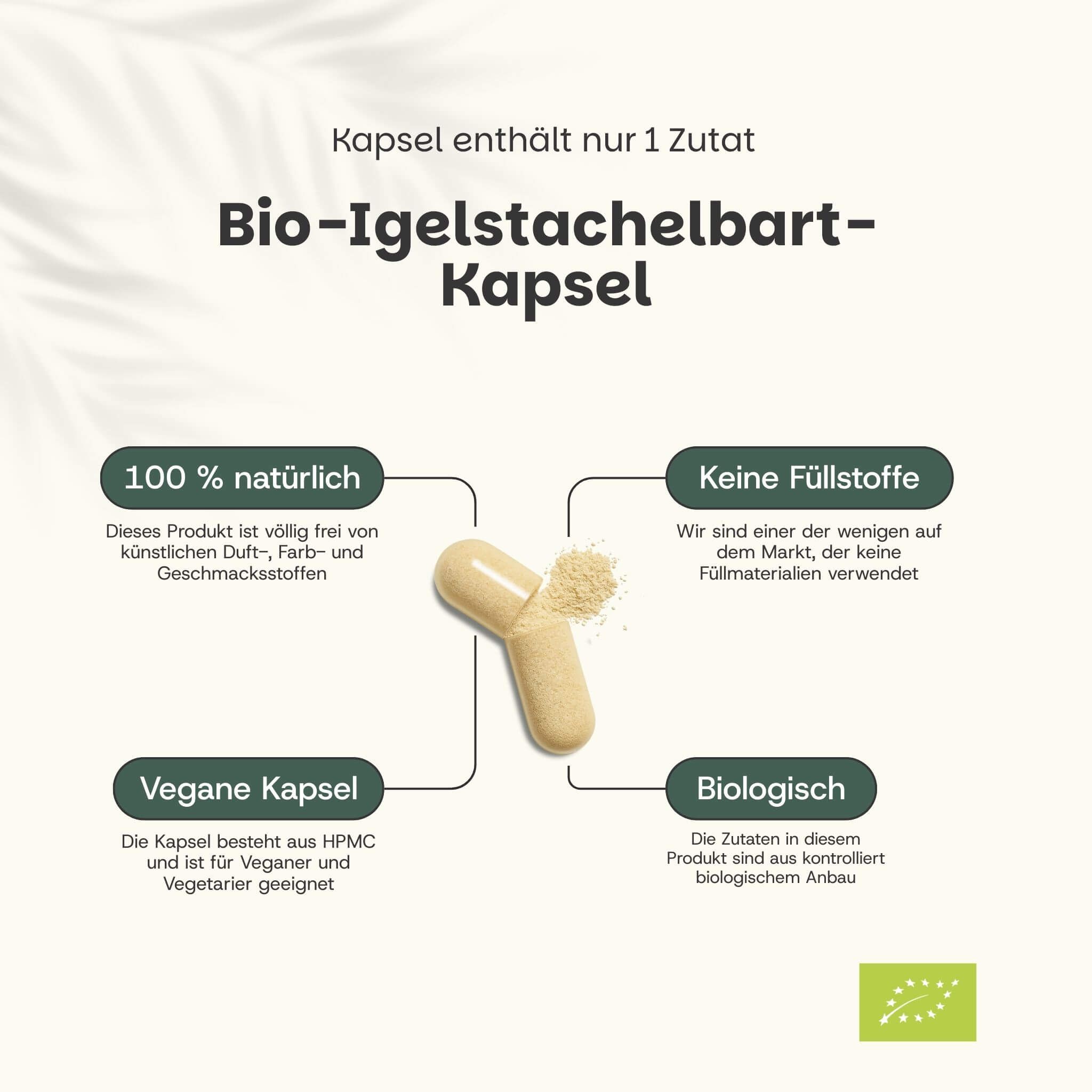 Kapsel mit Pulver. Text: Bio-Igelstachelbart-Kapsel. 100% natürlich, keine Füllstoffe, vegane Kapsel, Bio.