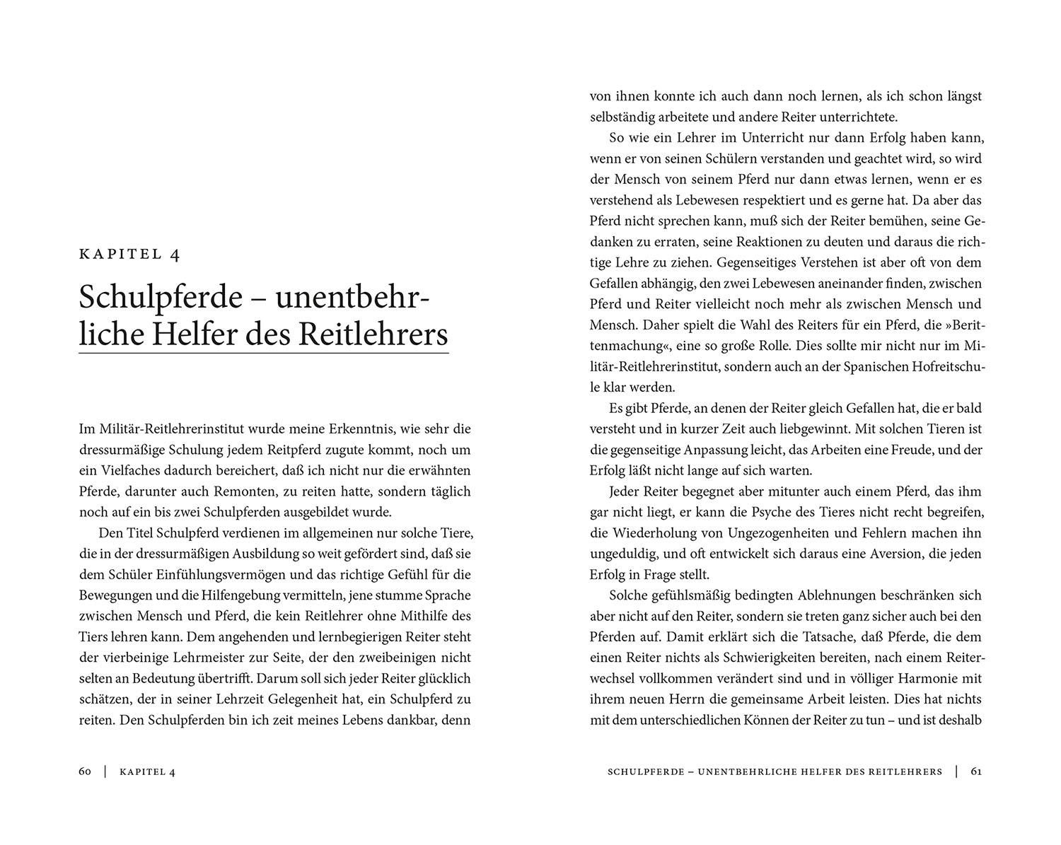 Meine Lehrmeister die Pferde