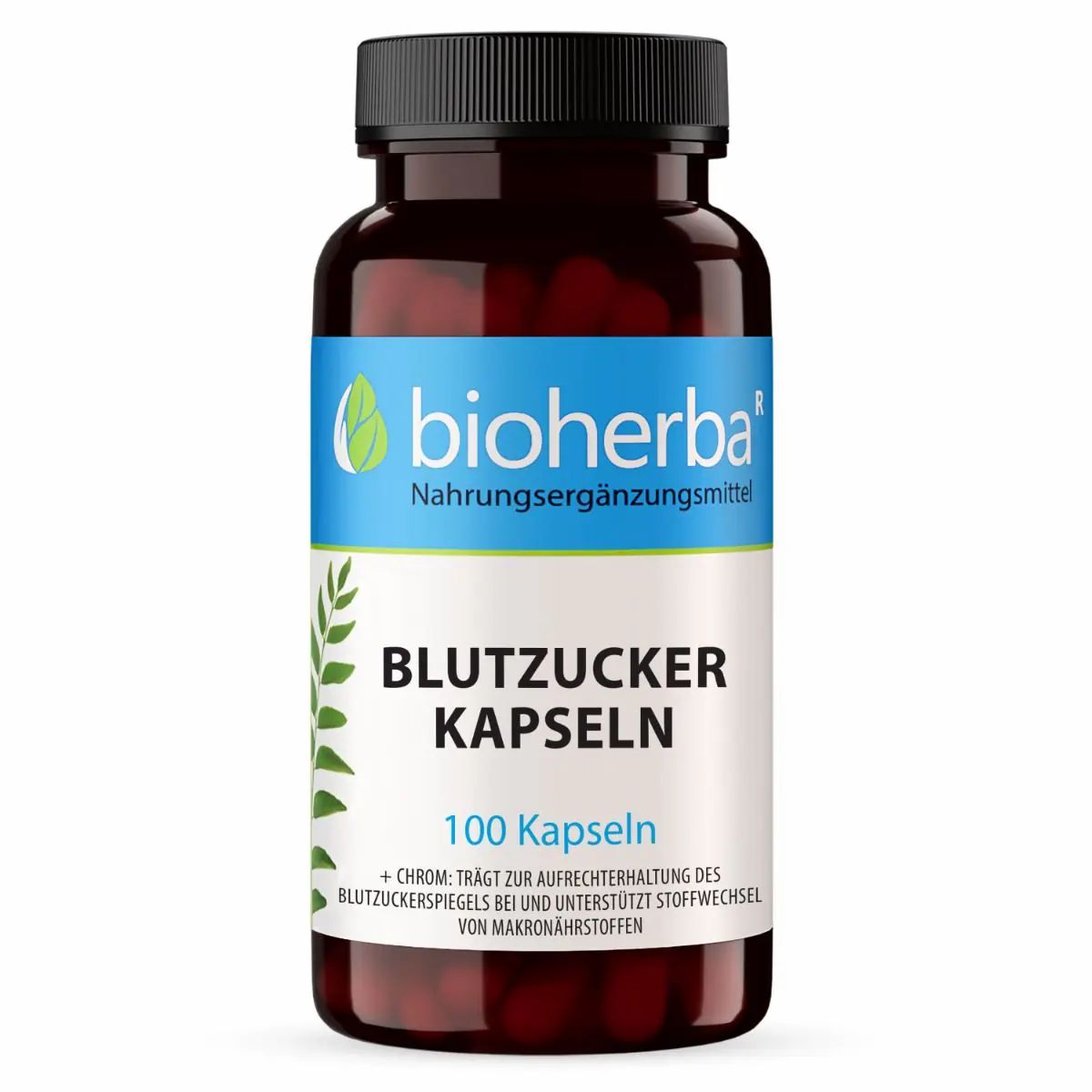 Braune Kapsel-Dose mit schwarzem Deckel. Etikett mit "Bioherba"-Logo und "Blutzucker Kapseln". Enthält 100 Kapseln.