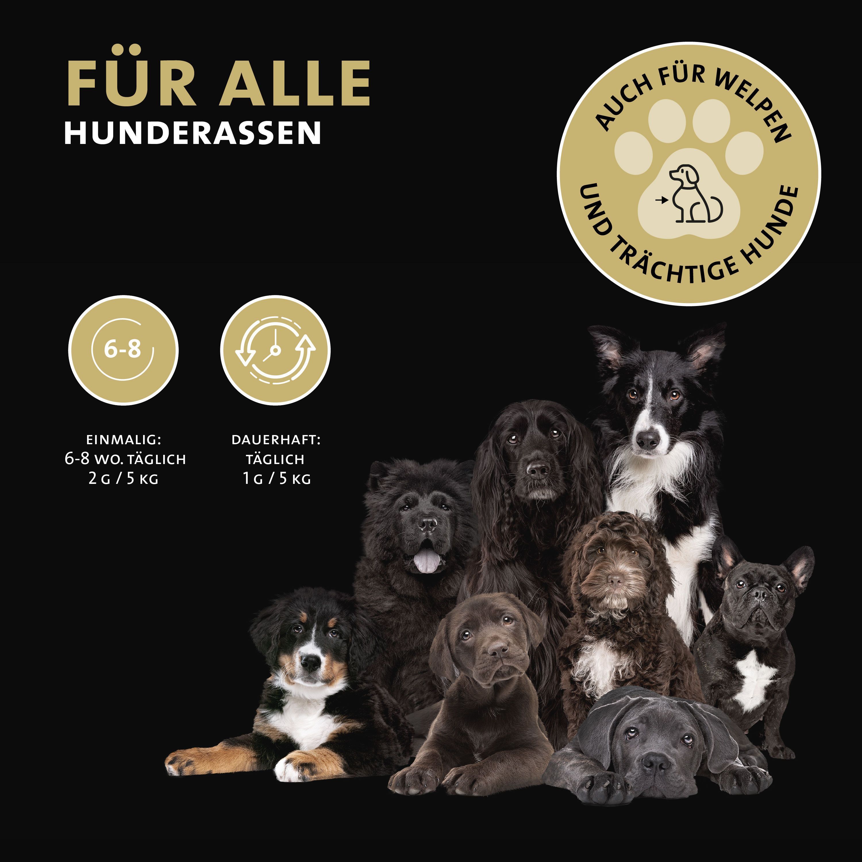 Verschiedene Hunderassen. Text: Für alle Hunderassen. Auch für Welpen und trächtige Hunde. Dosierung.