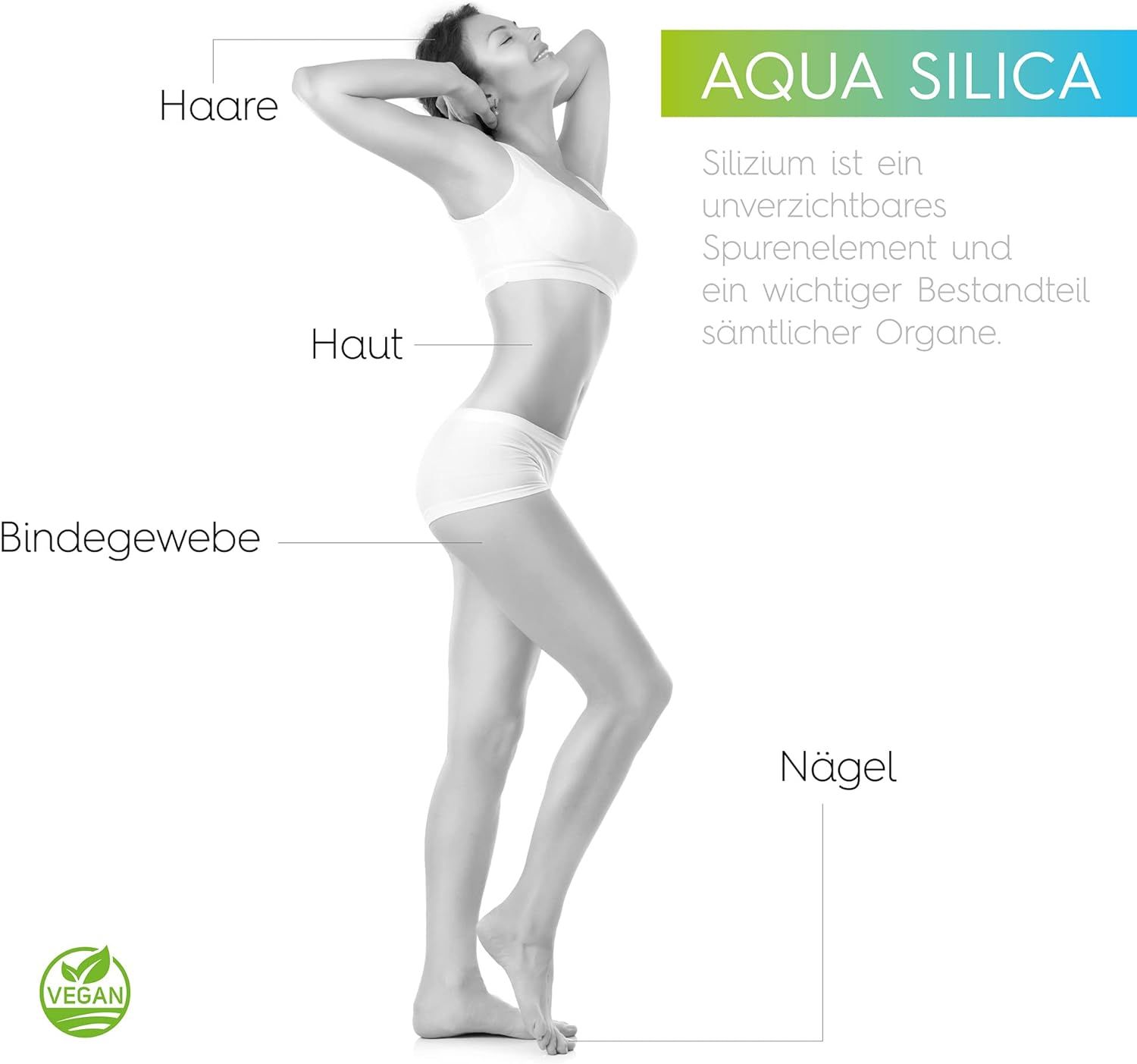 Aqua Silica Kolloidales Silizium vegan