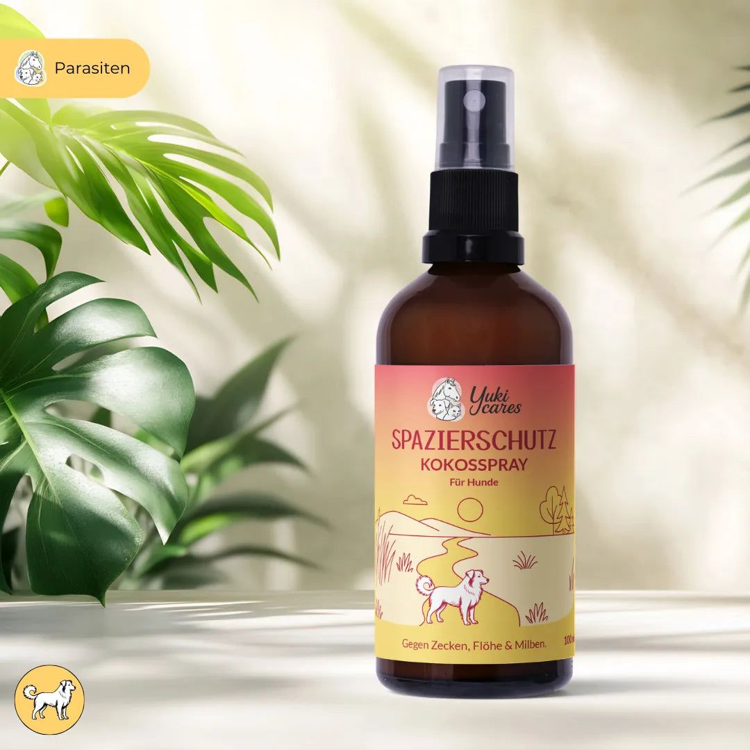 Braune Sprühflasche mit Etikett. Aufschrift: Spazierschutz Kokosspray für Hunde. Gegen Zecken, Flöhe & Milben.