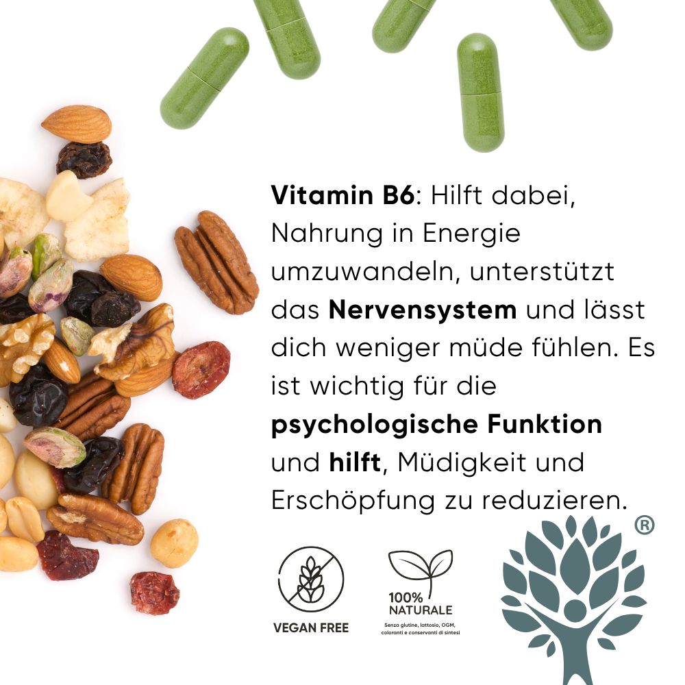 Drei RedMoringa Flaschen: Melatonin, Griffonia/Agrimonia, Bio Moringa Oleifera. Auf einem grünen Kreis.