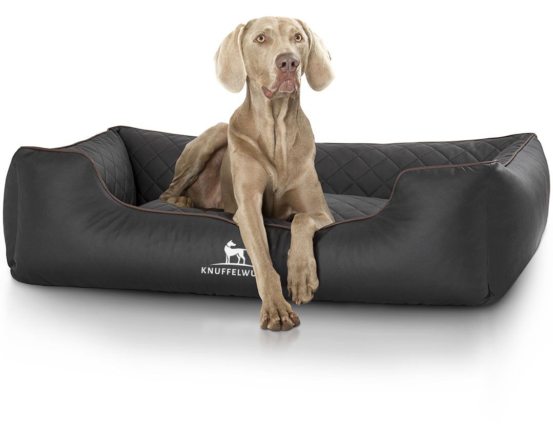 Hundebett mit einem Hund. Schwarzes, rechteckiges Hundebett mit Logo "Knuffelwuff".
