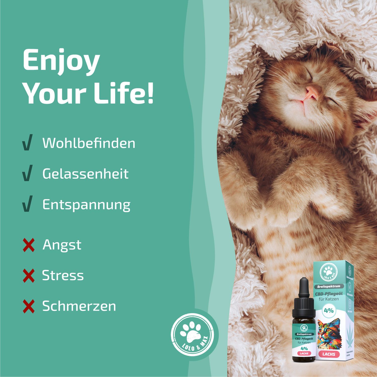 Lolo & Max - CBD Öl 4% Katze Lachs - 10ml