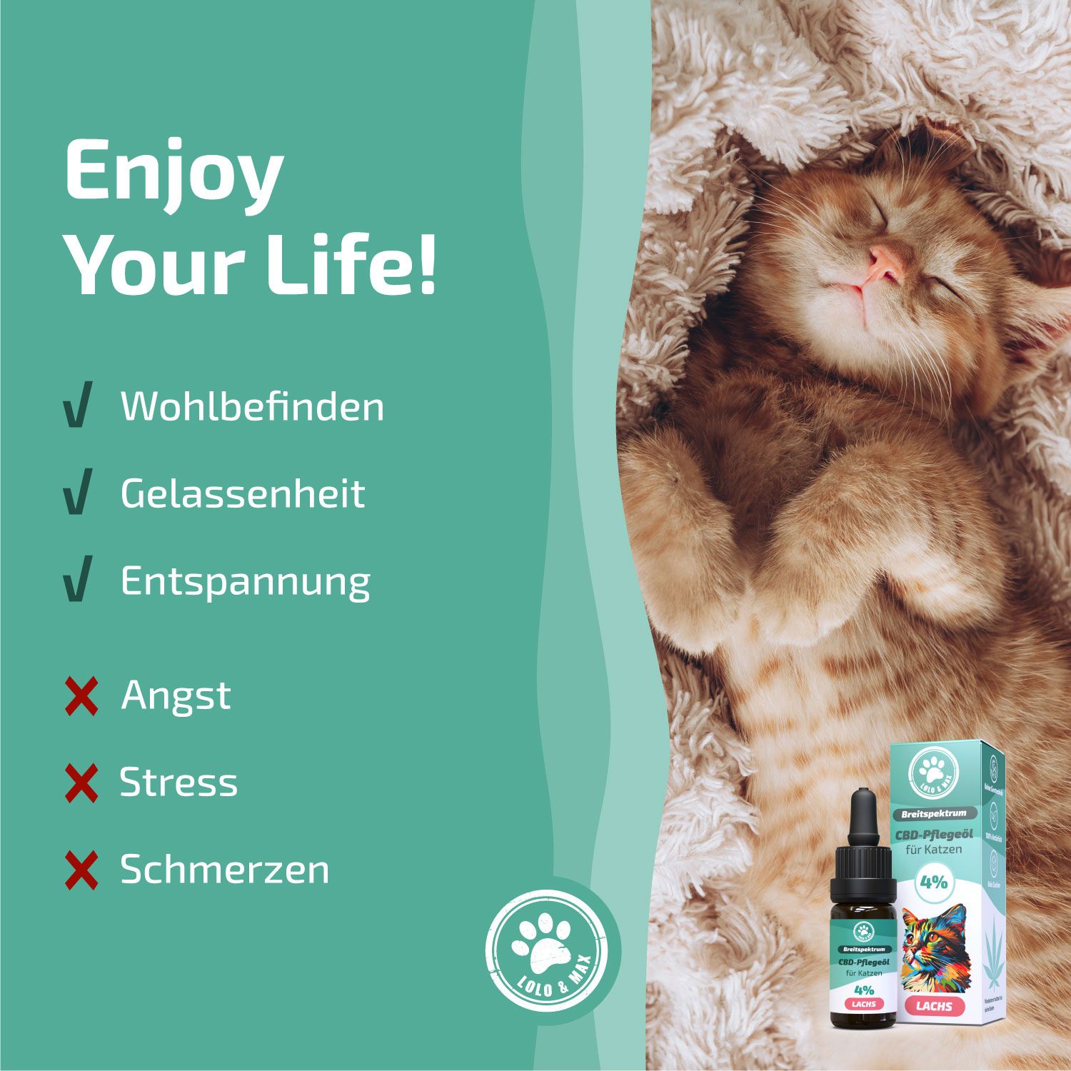 Lolo & Max - 4% CBD-Öl für Hunde Katzen Lachs 10 ml Tropfen