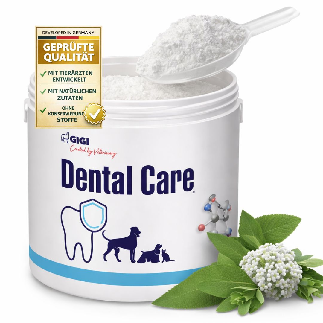 GIGI Dental Care Dose mit Messlöffel. Text: Geprüfte Qualität, ohne Konservierungsstoffe.