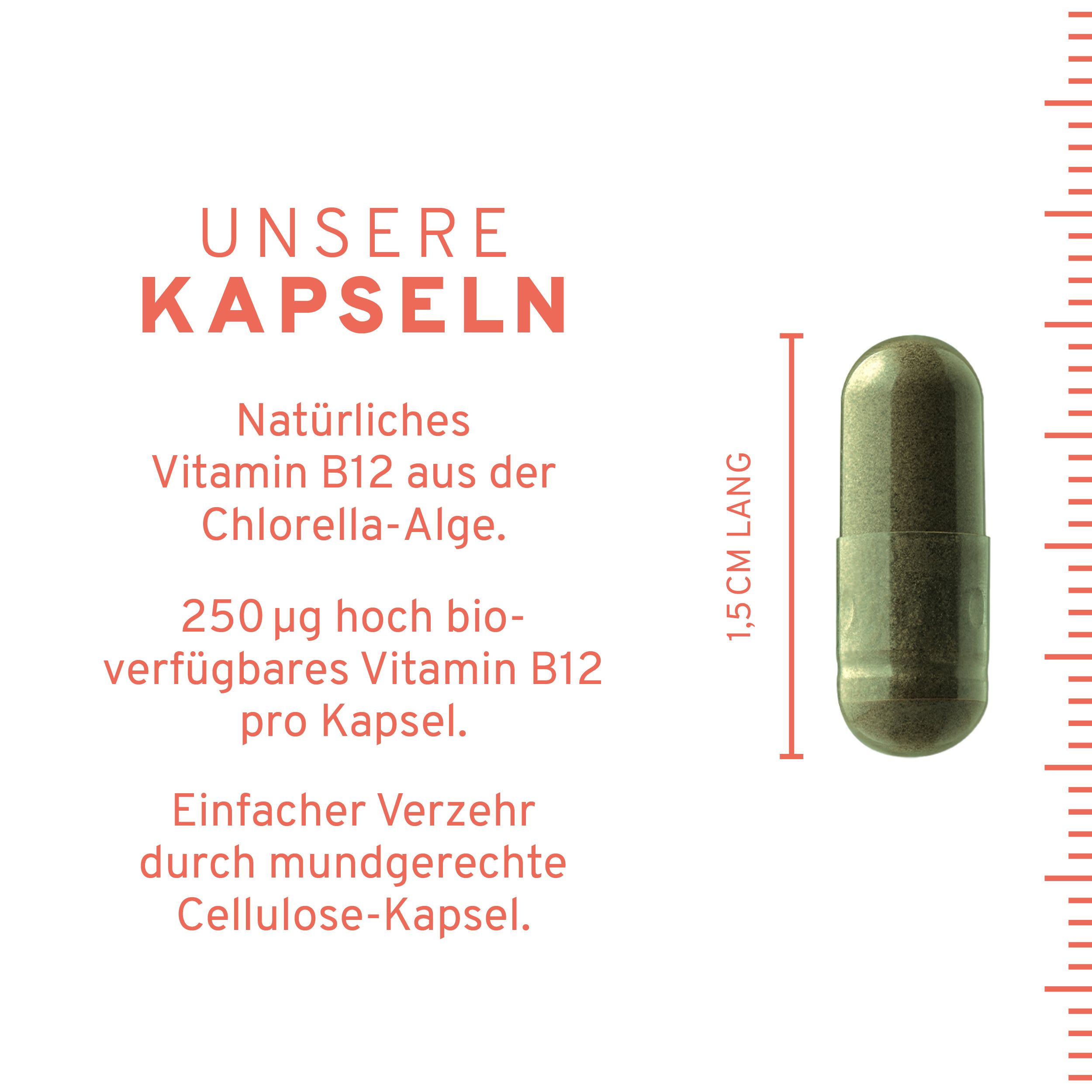InnoNature Vitamin B12 Kapseln | natürlich aus der Chlorella Vulgaris Alge | vegan