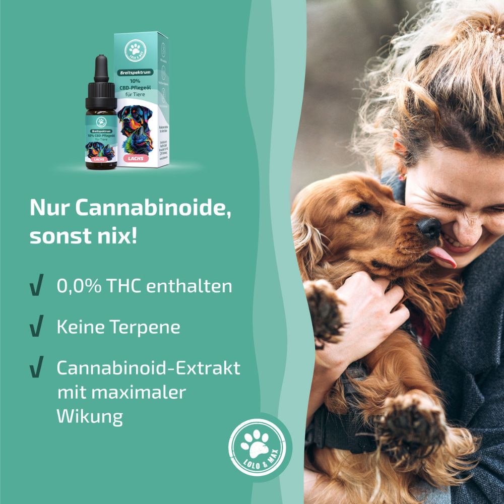Flasche mit Pipette und Kartonverpackung für Hundepflegeöl, 0,0% THC, keine Terpene, Cannabinoid-Extrakt.