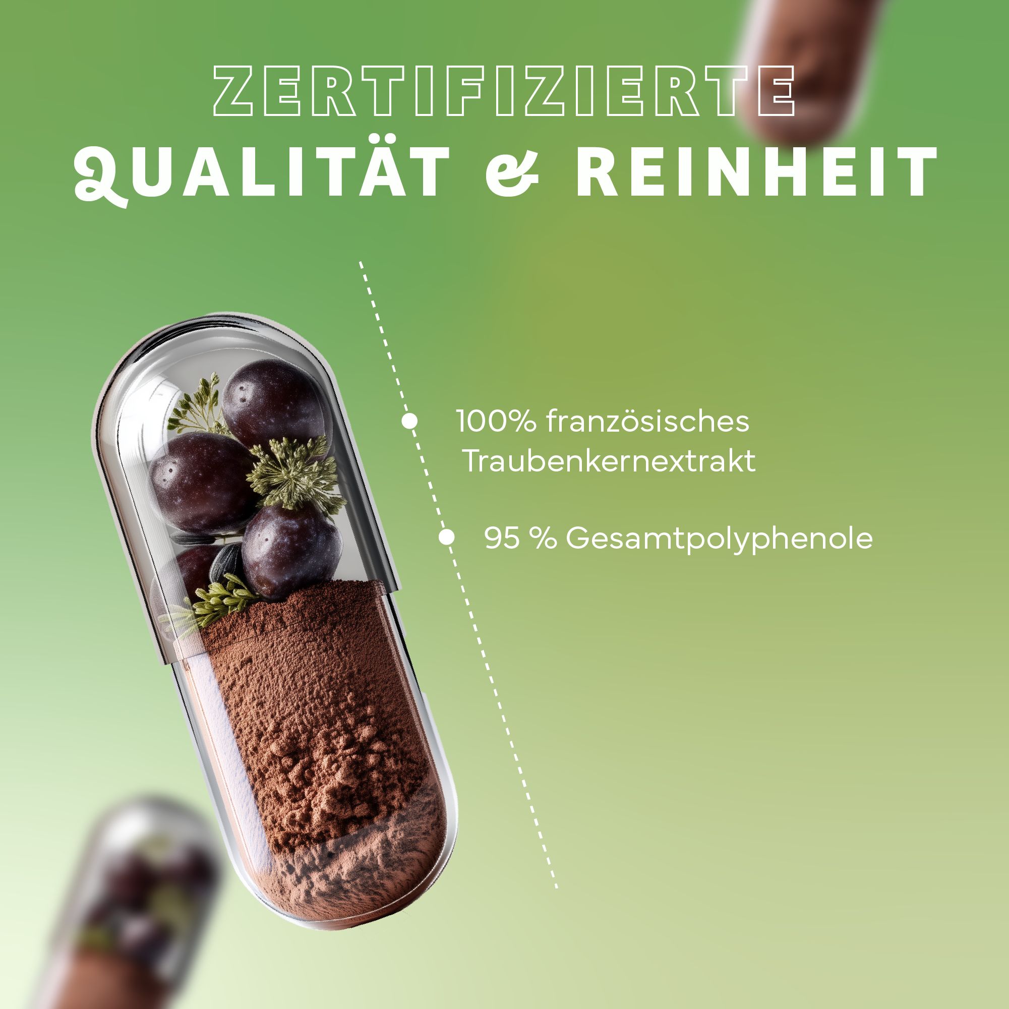 Transparente Kapsel mit Traubenkernextrakt. Text: 100% französisches Traubenkernextrakt, 95% Gesamtpolyphenole. Hintergrund grün.