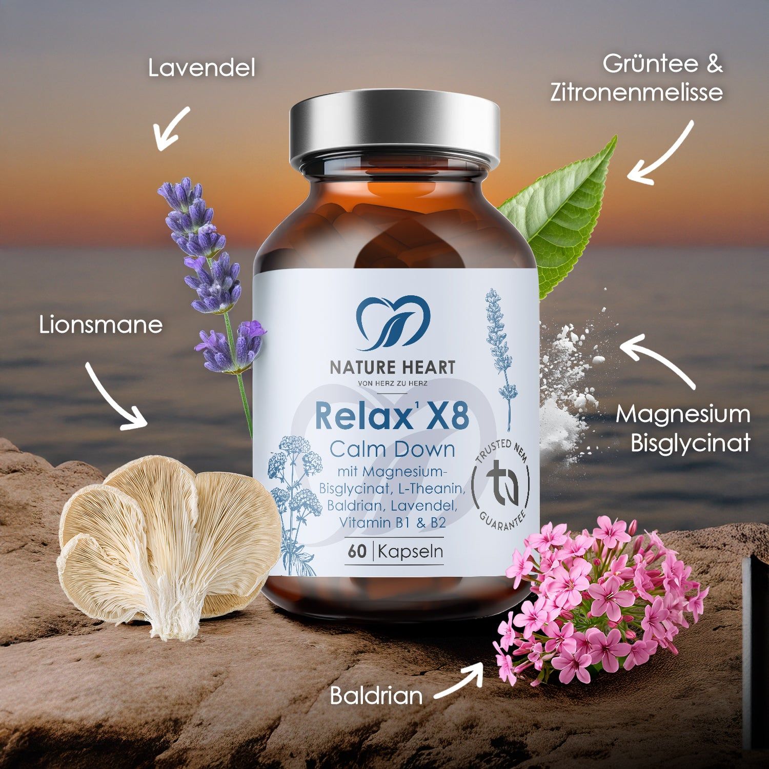 Braune Glasflasche Relax X8, Calm Down, 60 Kapseln. Logo: Herz. Zutaten-Illustrationen: Lavendel, Baldrian, Zitronenmelisse, Magnesium.