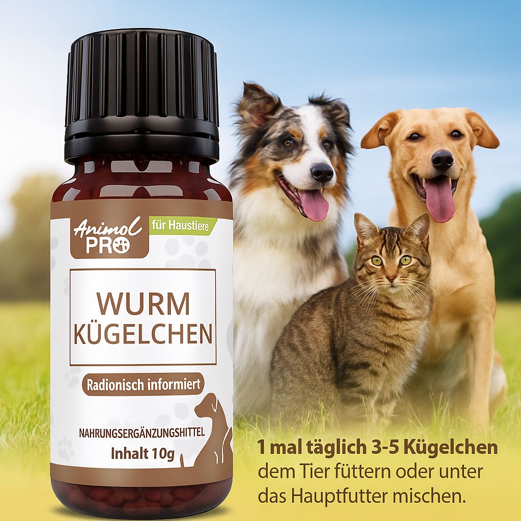 Braune Glasflasche mit schwarzem Deckel. Etikett mit Produktnamen und Logo. Hunde und Katze im Hintergrund.