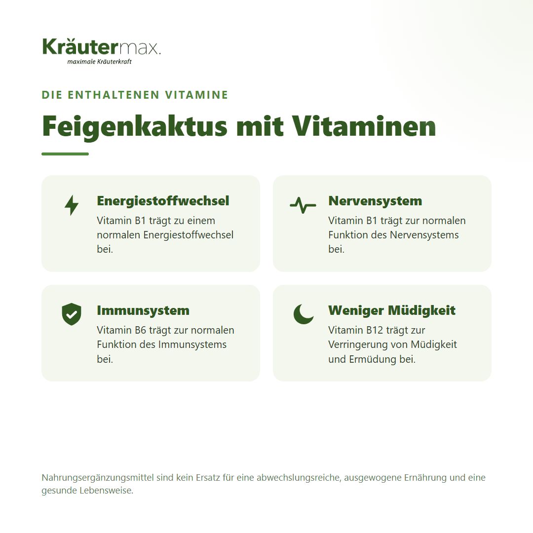 Grafiken zu Vitaminen in Feigenkaktus Kapseln: Energie, Nerven, Immunsystem, Müdigkeit.