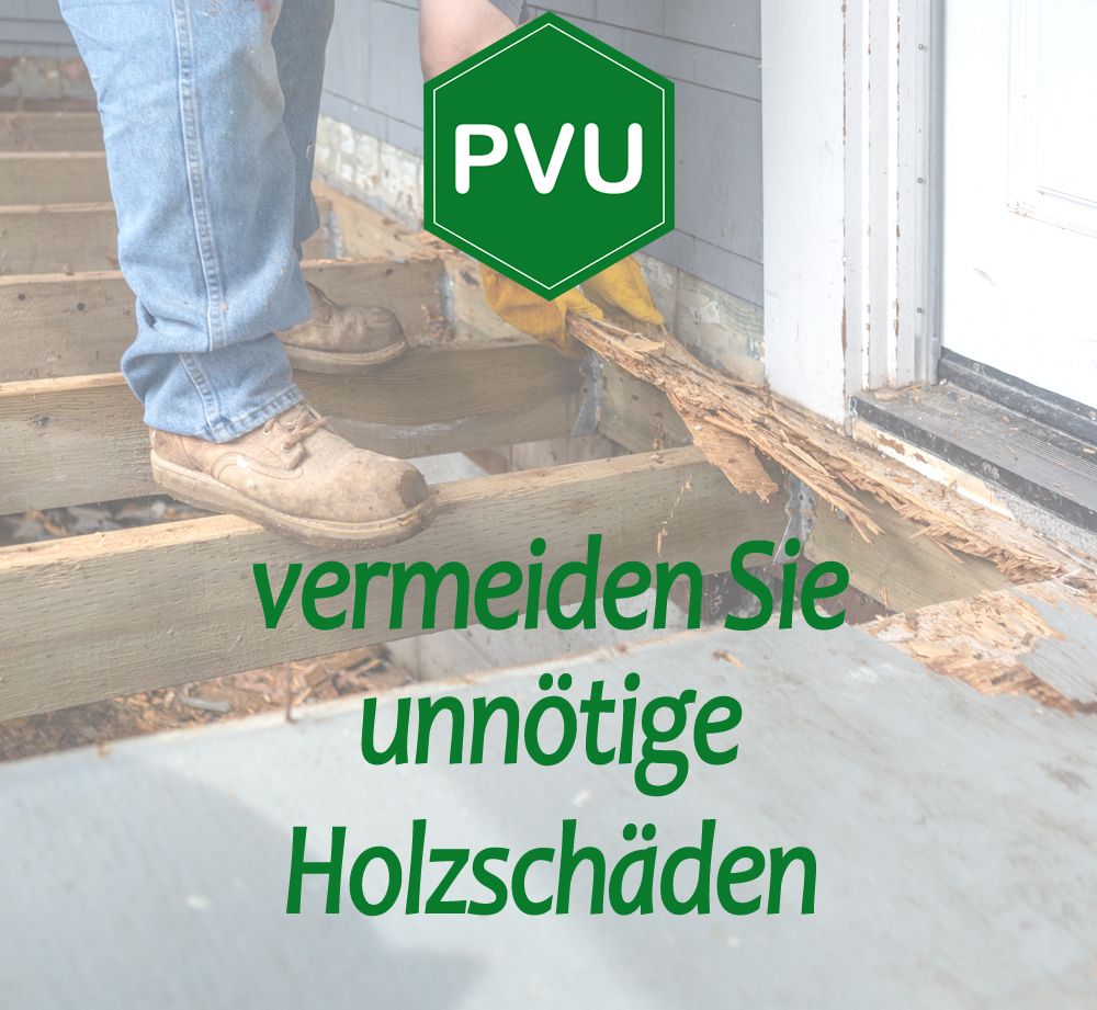 PVU Holzwurmspray zur Bekämpfung von Holwürmern und Holz Schädlingen