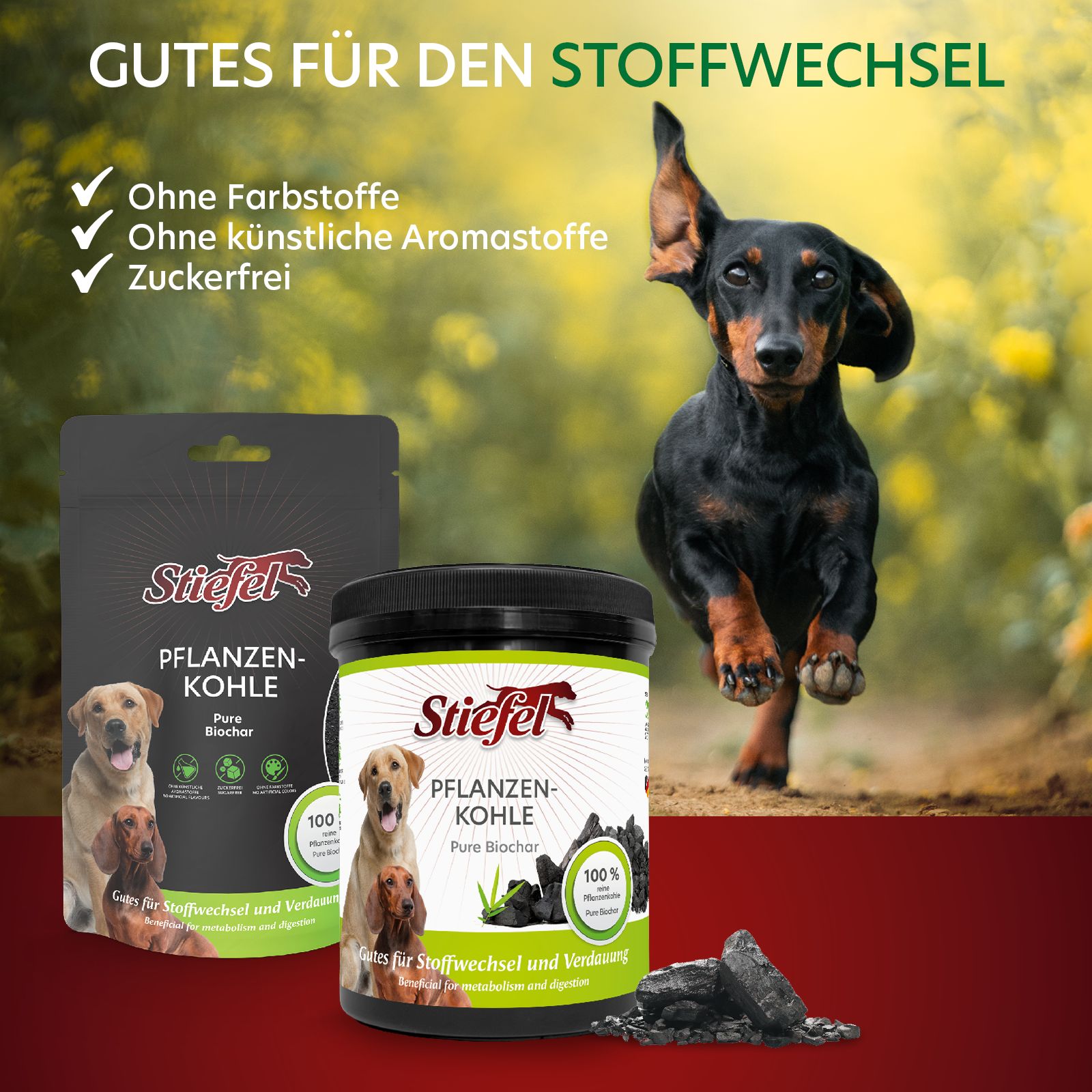 Stiefel Pflanzenkohle, Packung und Dose. Ein Hund rennt im Hintergrund. Aufschrift: Ohne Farbstoffe, Ohne künstliche Aromastoffe, Zuckerfrei.