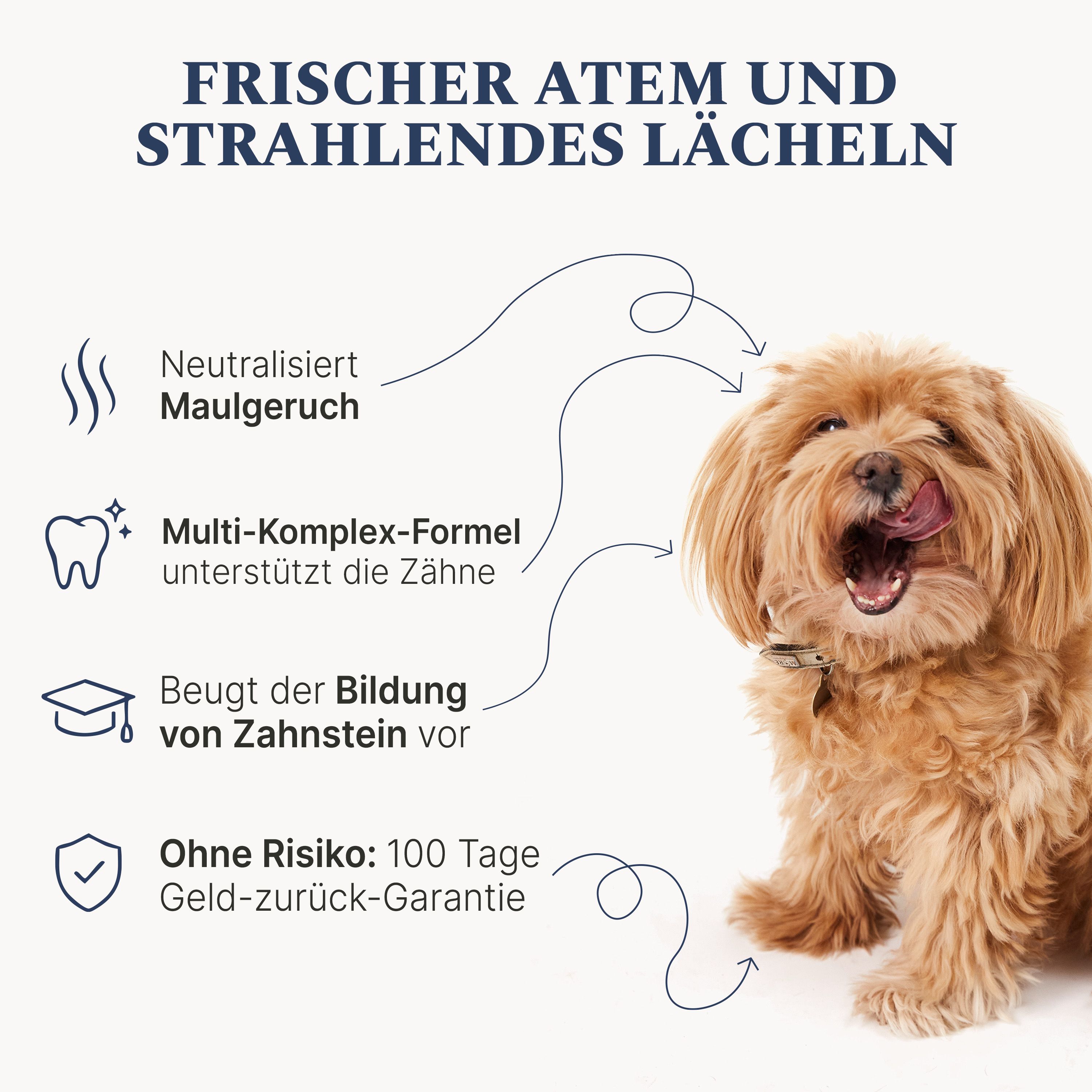 Hund mit aufgewecktem Blick, daneben Icons für frischen Atem, Zahnpflege und Zahnsteinvermeidung.
