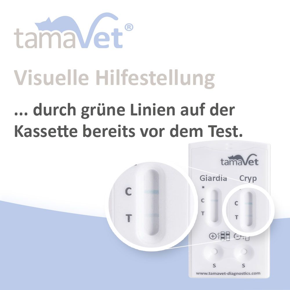 Testkassette mit grünen Linien. Text: Visuelle Hilfestellung. Nahaufnahme der Testkassette.