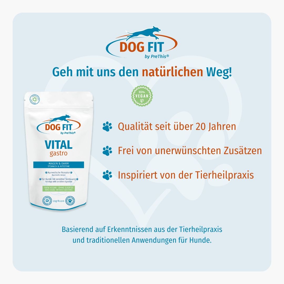 Grafik mit Produktabbildung und Text. DOG FIT VITAL gastro. Qualität seit über 20 Jahren. Frei von unerwünschten Zusätzen. Inspiriert von Tierheilpraxis.