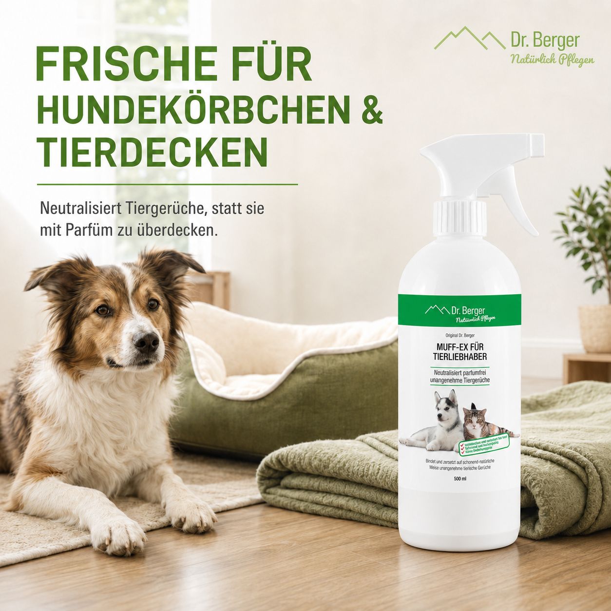 Sprühflasche neben einem Hundekorb und einer Decke.