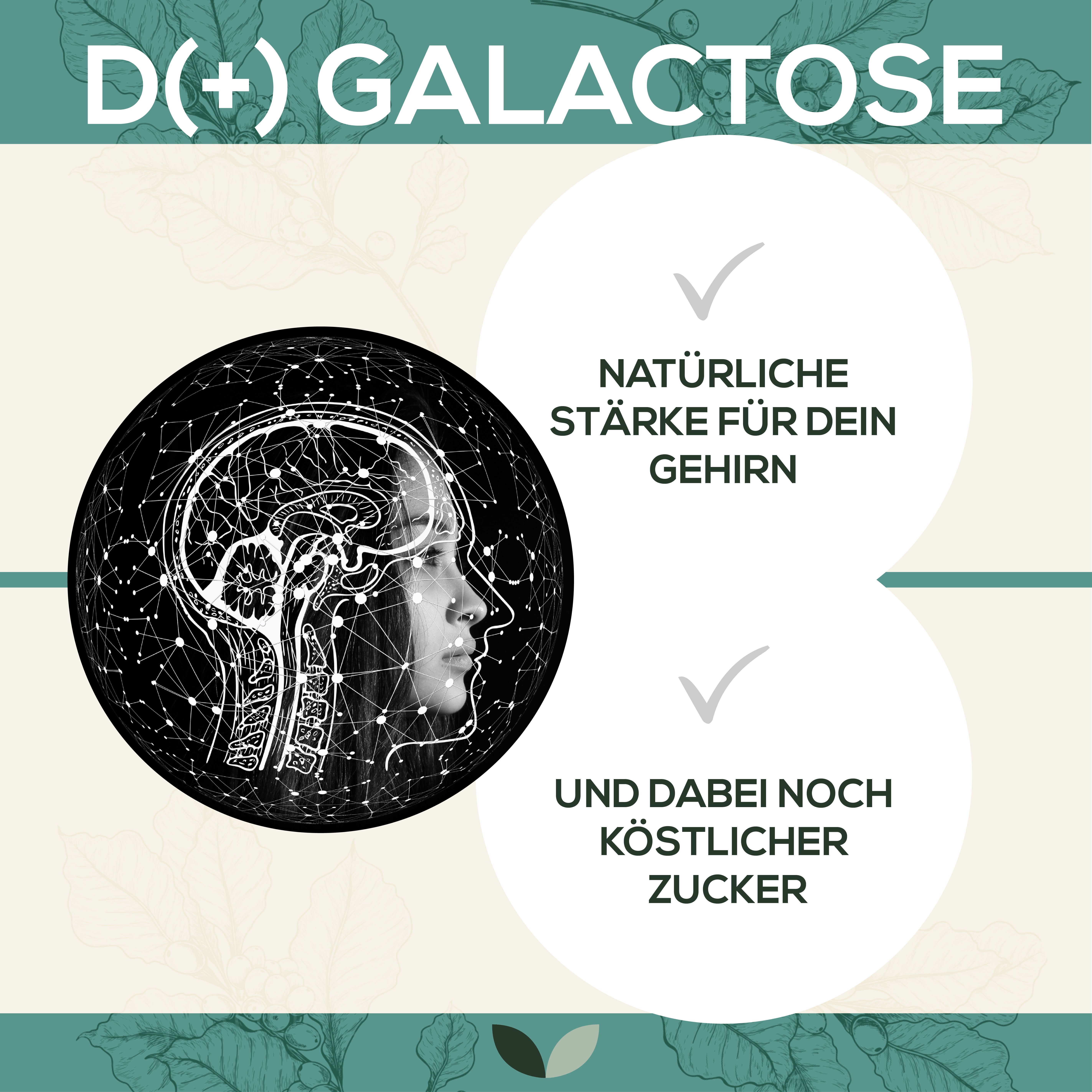 Sanutrition® - reine D(+) Galactose