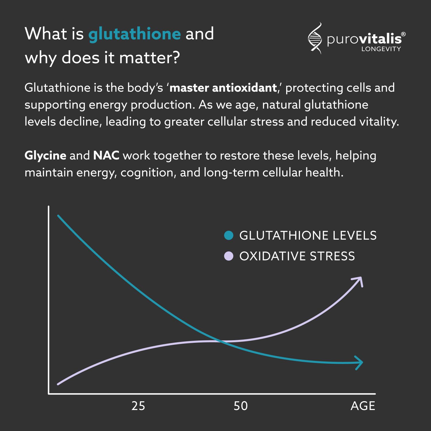 Diagramm: Glutathionspiegel und oxidativer Stress im Alter. Text: Was ist Glutathion und warum ist es wichtig?