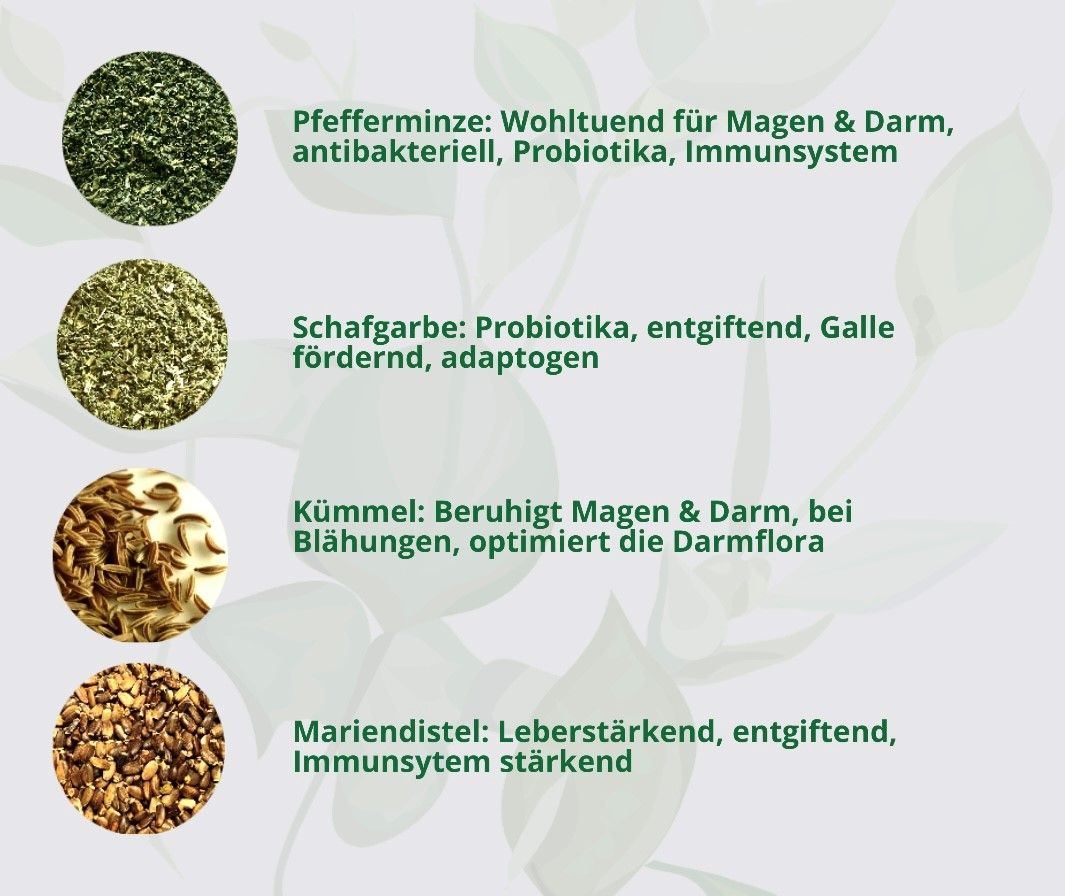 Hand aufs Pferd/Hund Magen-Darm Kräuter Sonnenaufgang