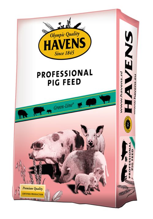 Havens Piglet Start