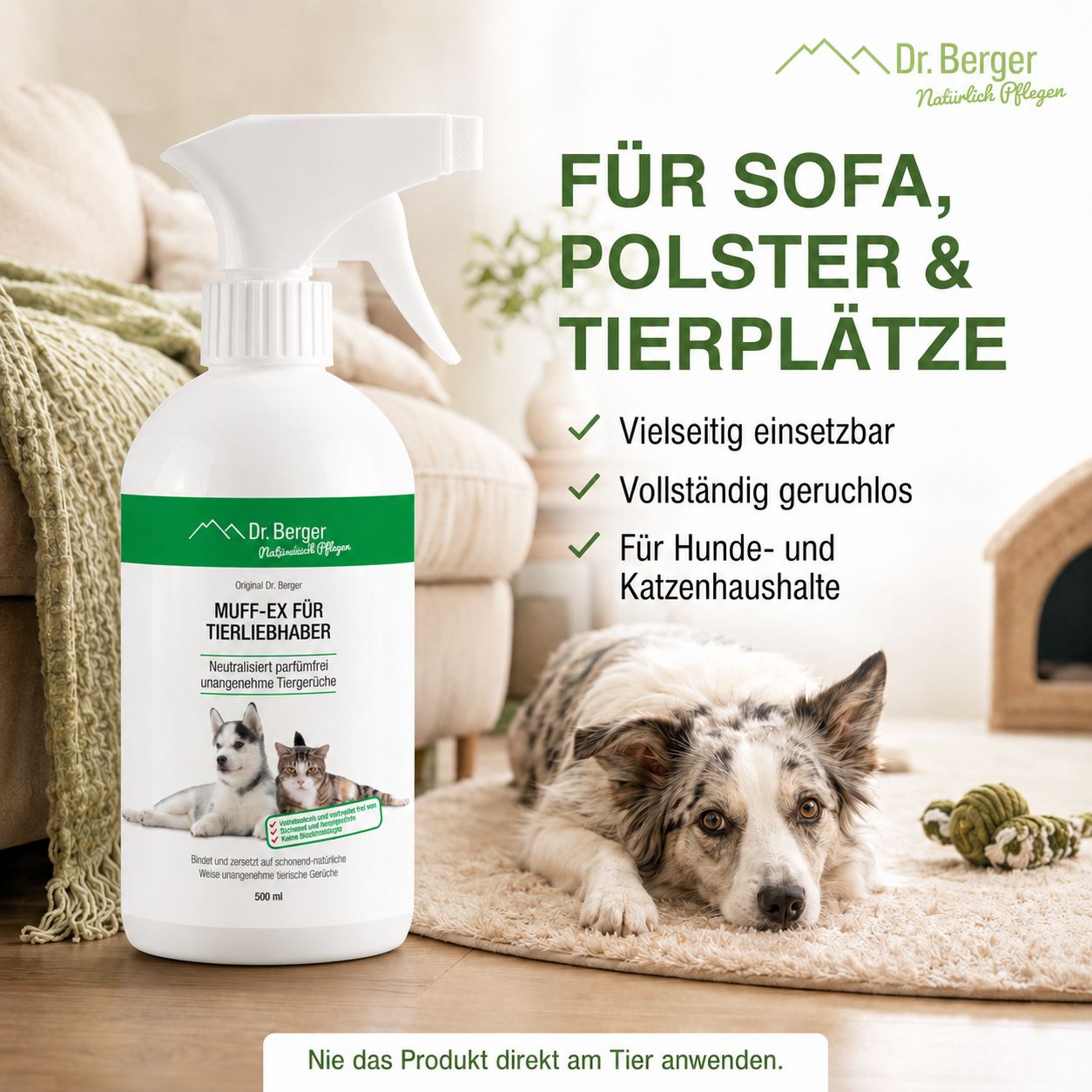 Sprühflasche neben einem Hund auf einem Sofa und einem Hundebett.