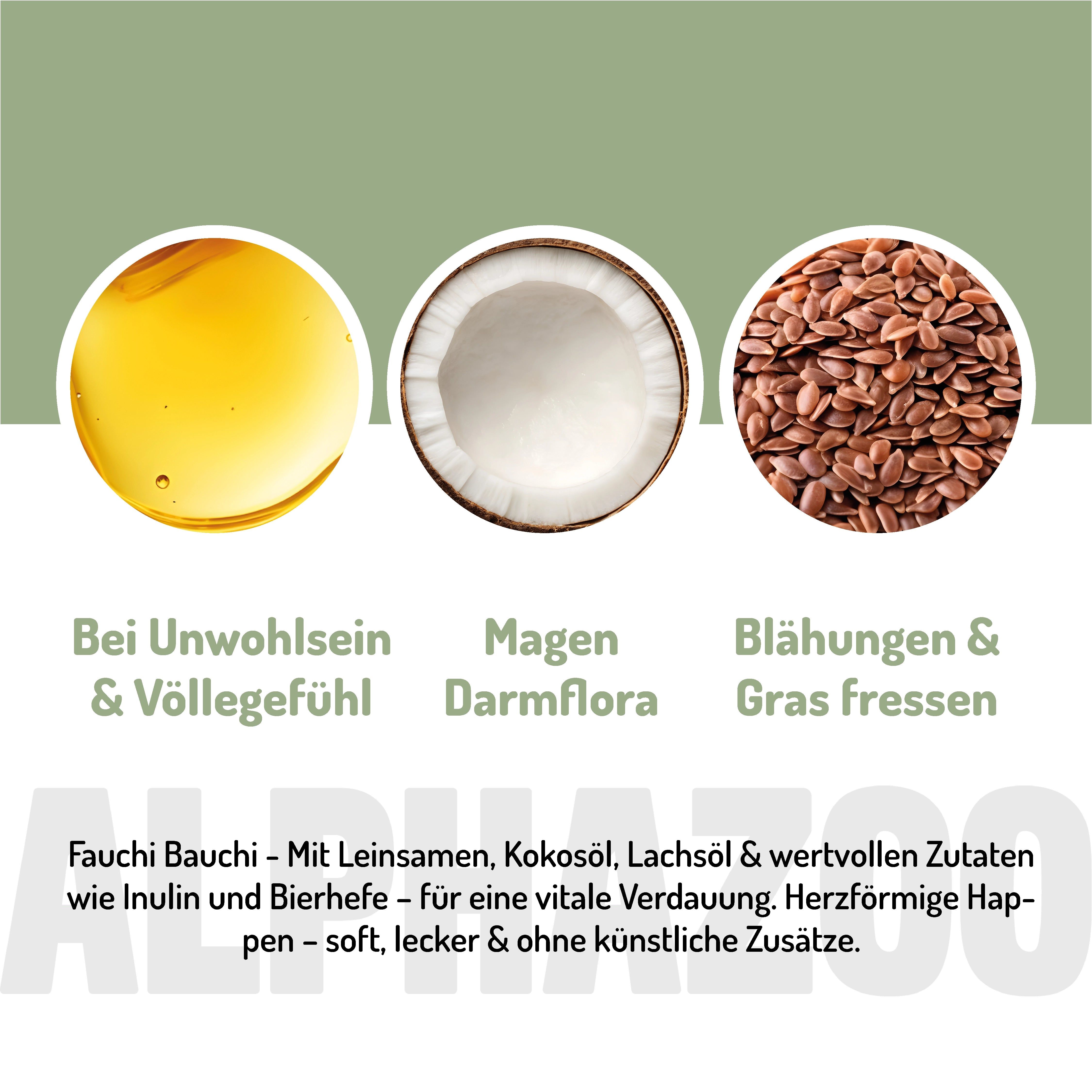 Nahaufnahme von Öl, Kokosnuss und Leinsamen. Text: Fauchi Bauchi - für eine vitale Verdauung.