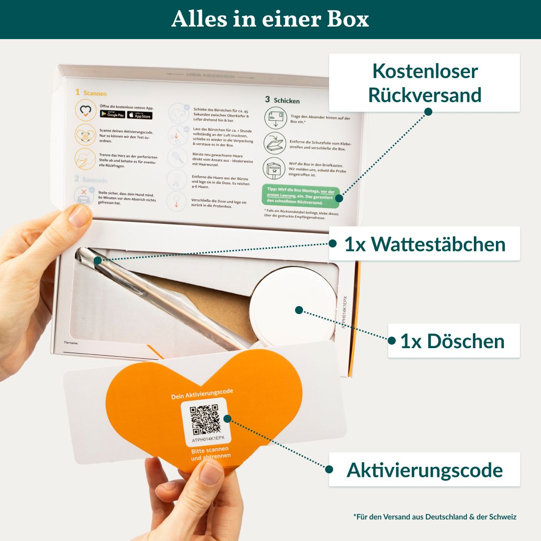 Inhalt der Testbox. Enthält Wattestäbchen, Döschen und Aktivierungscode. Kostenloser Rückversand.