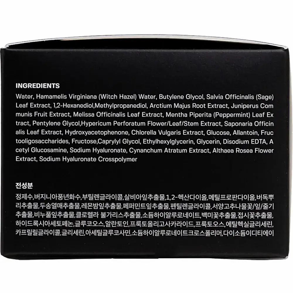 SUNGBOON EDITOR Blackhead Melting Clear Pads Porenstrips