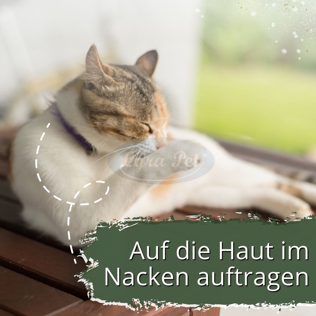 Katze putzt sich. Text: Auf die Haut im Nacken auftragen.