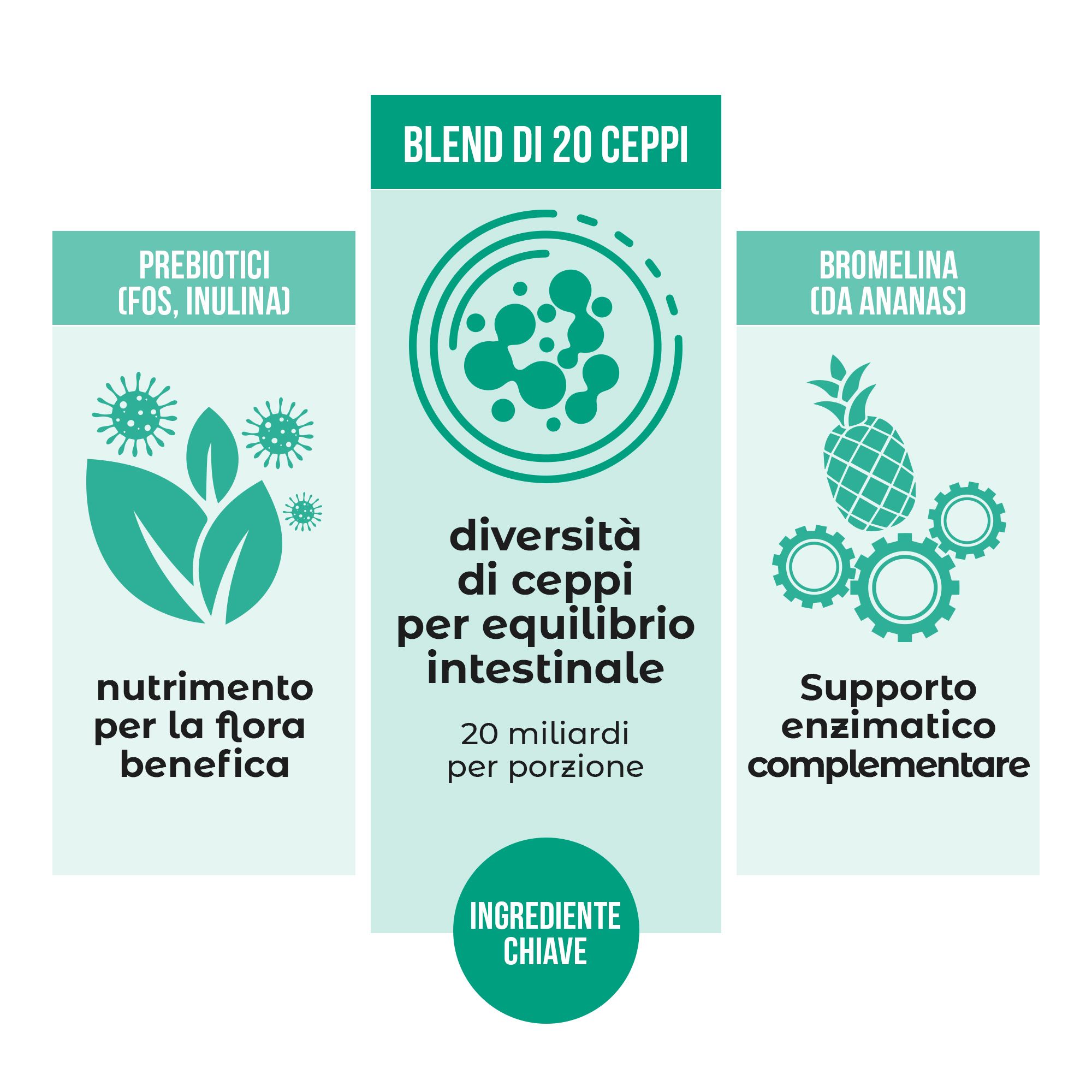 Green Biotic – Probiotisches Nahrungsergänzungsmittel mit 20 Stämmen, Präbiotika, Verdauungsenzymen