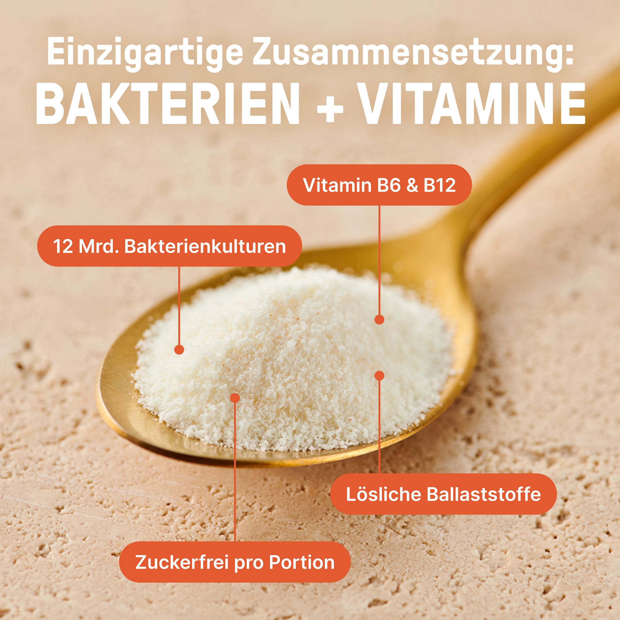 Löffel mit Pulver. Text: Bakterien + Vitamine, 12 Mrd. Bakterienkulturen, Vitamin B6 & B12, Zuckerfrei, Ballaststoffe.