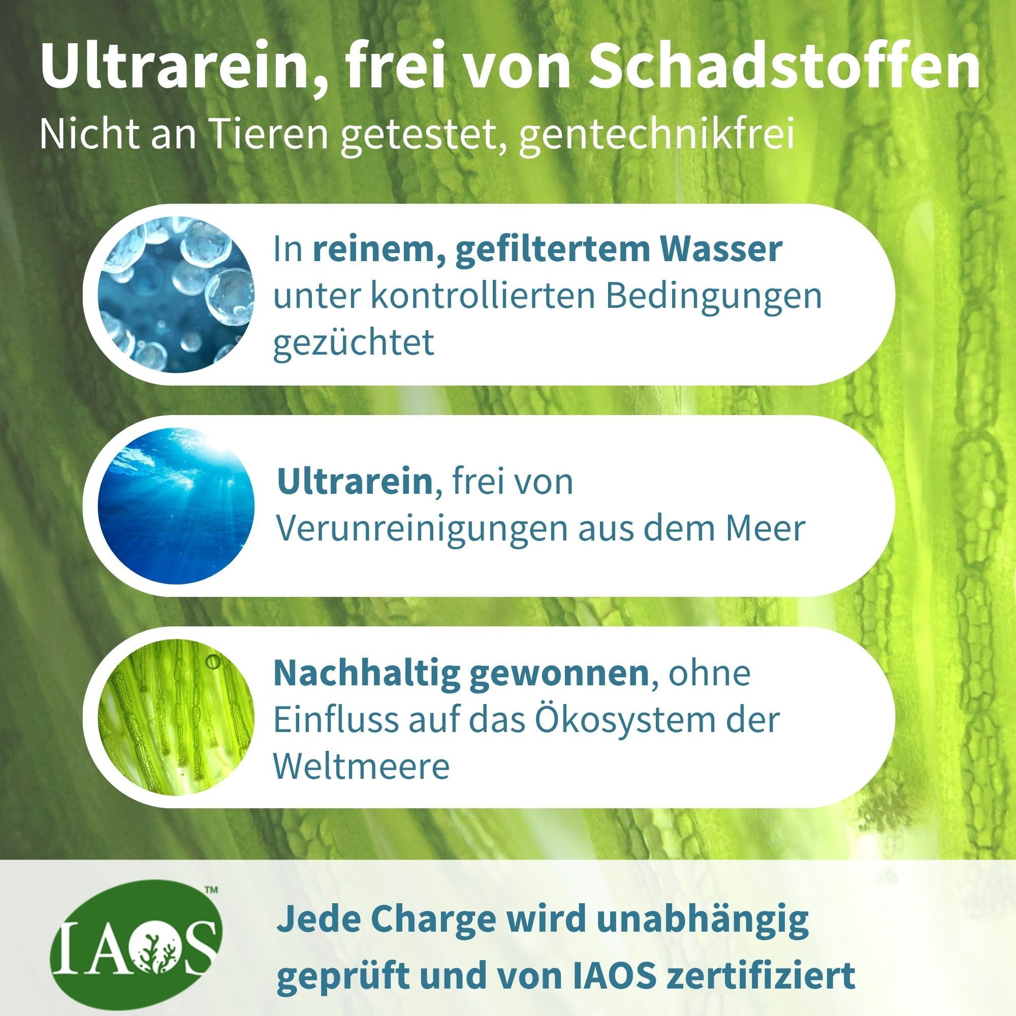Reinheit: Algenöl ultrarein, schadstofffrei, aus kontrolliertem Anbau, IAOS zertifiziert.
