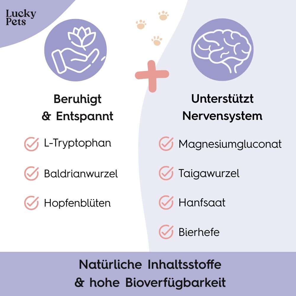 Illustration mit Inhaltsstoffen. Beruhigt & entspannt, unterstützt Nervensystem. L-Tryptophan, Baldrian, Hopfenblüten, Magnesium.