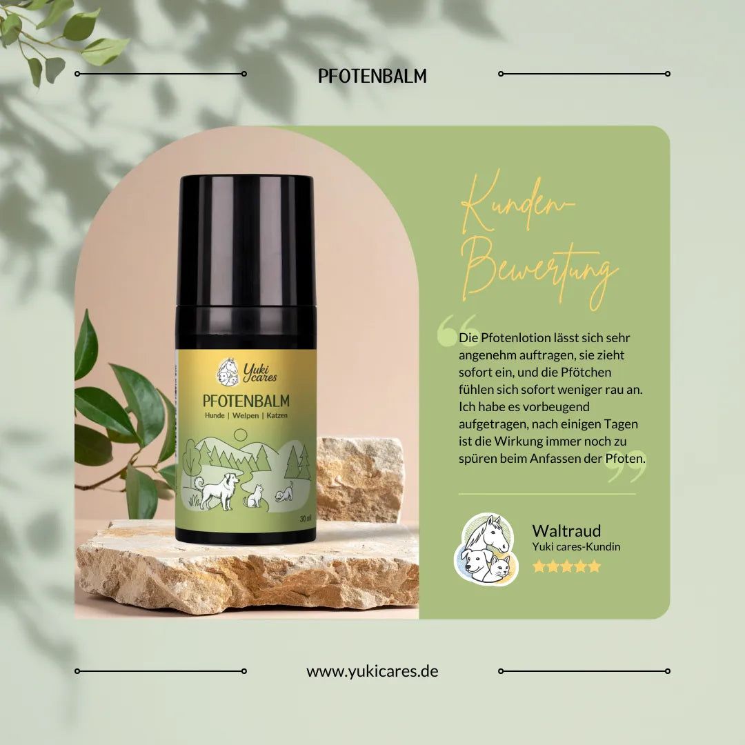 Schwarze Dose auf Stein. Text: Pfotenbalm, Kundenbewertung. Zitat. Logo Yuki cares. Hintergrund: Grün, Zweige.