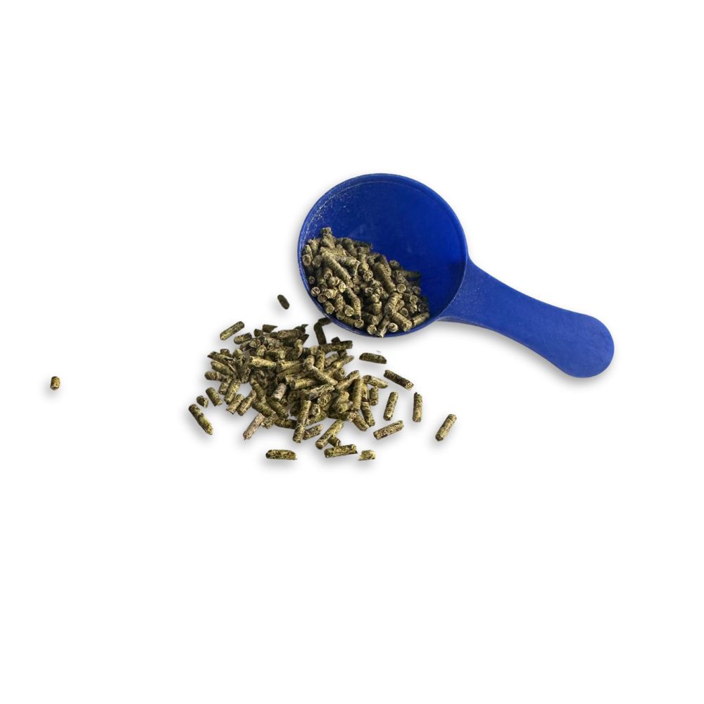 Blauer Messlöffel mit Pellets. Einige Pellets liegen daneben.