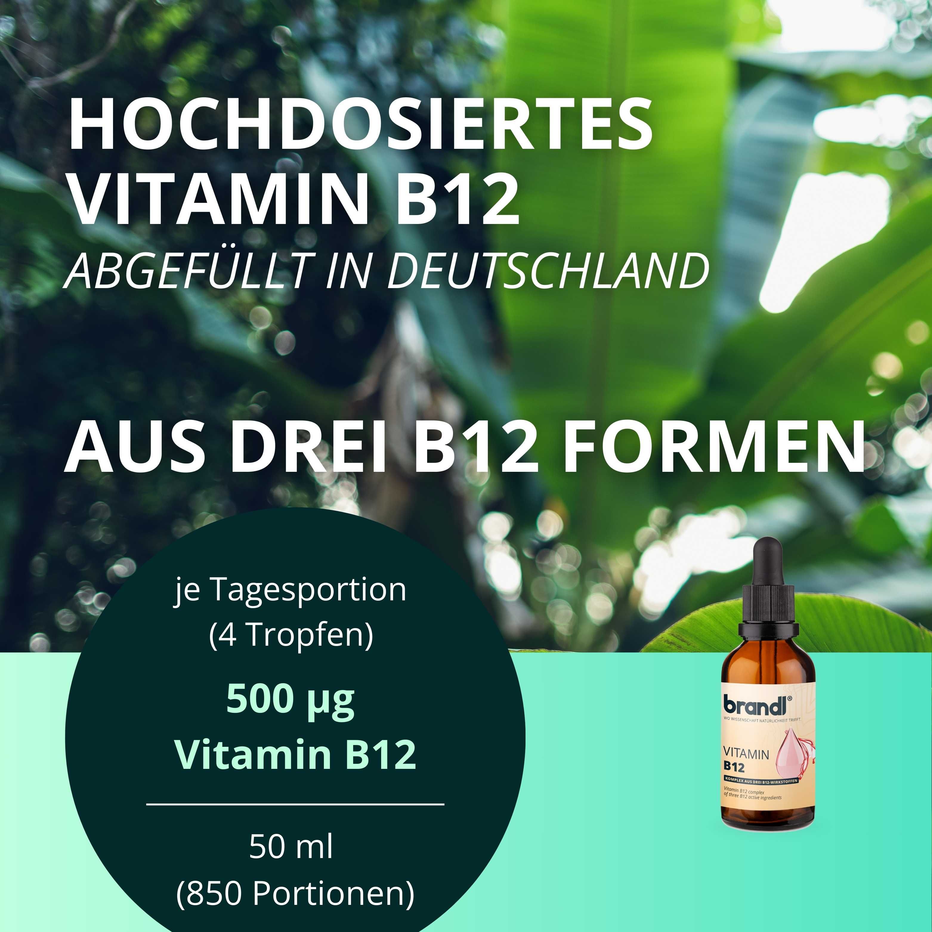 brandl® B12 Vitamin Tropfen aus 3 Aktivformen