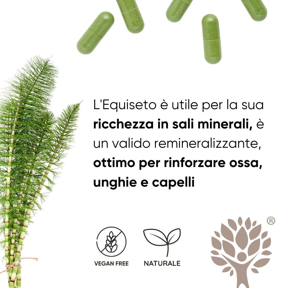 Grüne Kapseln und Pflanzen. Text: Equiseto, reich an Mineralsalzen, gut für Knochen, Nägel und Haare. Vegan Free, Natürlich.